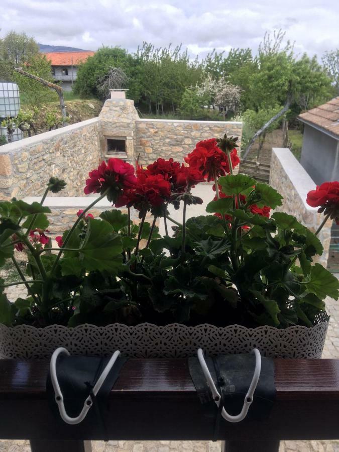 Casa Freixedelo Villa Santa Comba de Rossas Eksteriør billede